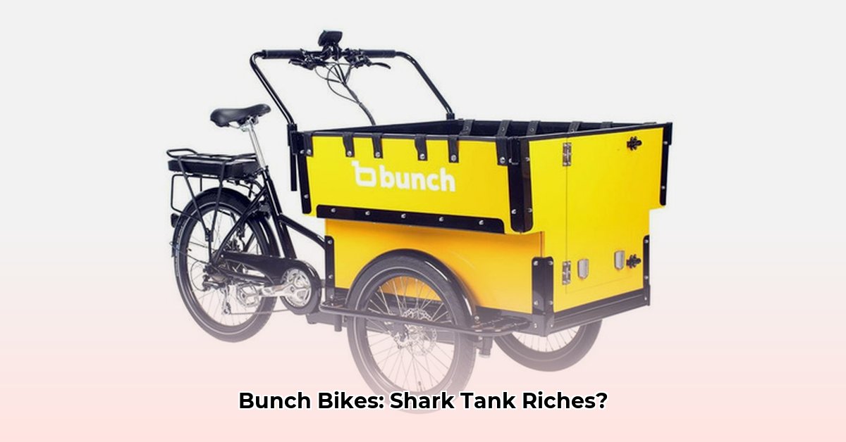 bunch-bike-net-worth